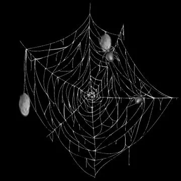 Vector white spiderweb with spiders and cocoons Illustrazione stock