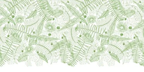 Vector white top horizontal border fern leaves pattern. Perfect for posters.. Illustrazione stock
