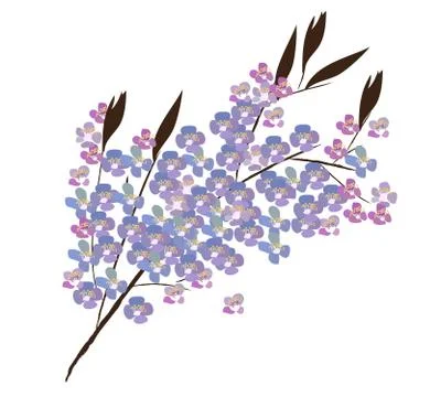 Vector wild flowers Illustrazione stock