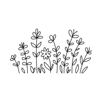 Vector wild herbs and flowers doodle illustration. Field with grass and Stock Illustration