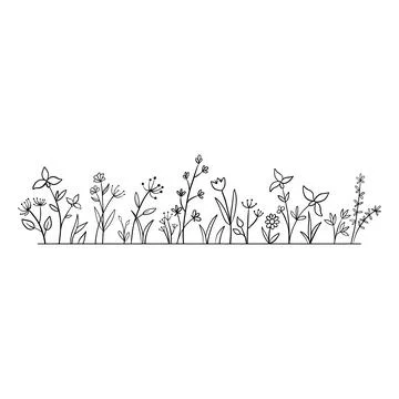 Vector wild herbs and flowers doodle illustration. Field with grass, plants and Stock Illustration