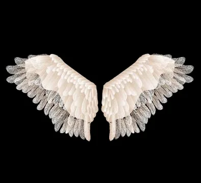 Vector wings with feathers isolated on black background. Illustration