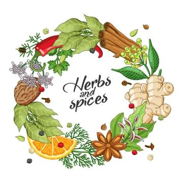 Vector winter circle template with spices, herbs Stock Illustration