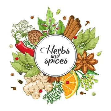 Vector winter round design with spices and herbs Stock Illustration