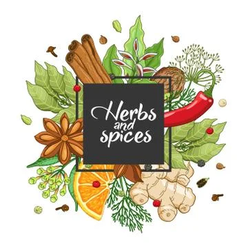 Vector winter square design with spices and herbs 스톡 일러스트