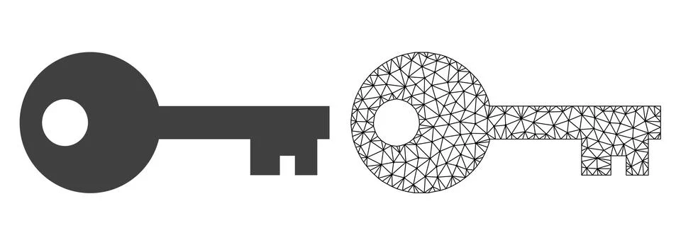 Vector Wire Frame Mesh Key and Flat Icon Illustrazione stock
