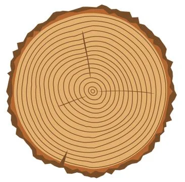 Vector wood rings Stock Illustration