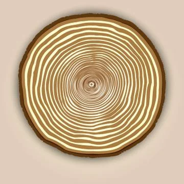 Vector wood texture background with tree rings Stock Illustration