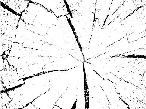 Vector wood texture on white background. Cross section of stump Stock Illustration