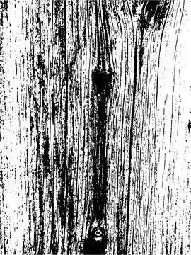 Vector wood wall texture. Illustration for backgrounds Stock Illustration