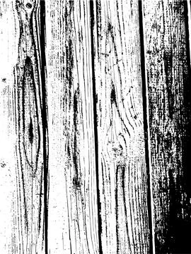 Vector wood wall texture. Illustration for backgrounds Stock Illustration