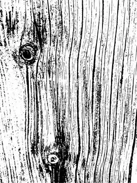 Vector wood wall texture. Illustration for backgrounds Stock Illustration