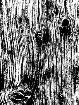 Vector wood wall texture. Illustration for backgrounds Stock Illustration