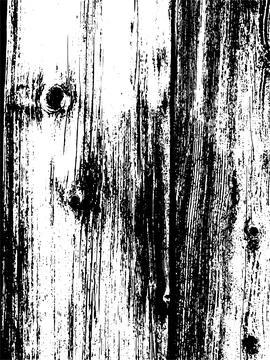 Vector wood wall texture. Illustration for backgrounds Stock Illustration