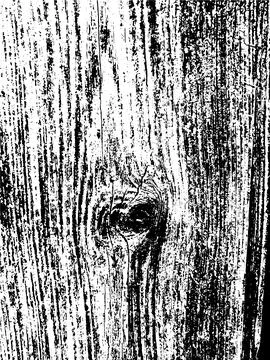 Vector wood wall texture. Illustration for backgrounds Stock Illustration