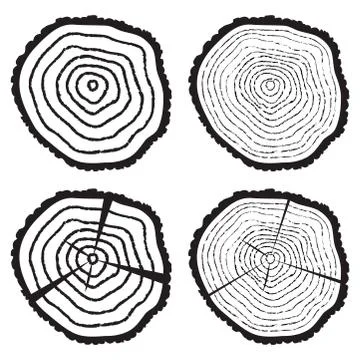 Vector wooden cut of a tree log Stock Illustration
