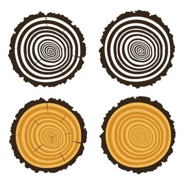 Vector wooden cut of a tree log with concentric rings Stock Illustration