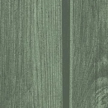Vector wooden texture Stock Illustration