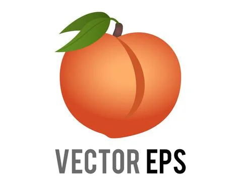 Vector word top with an arrow icon pointing up above it Ilustración de archivo