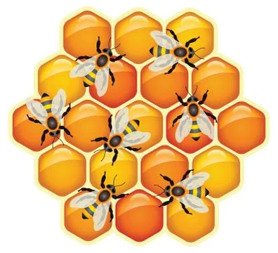 Vector working bees on honeycomb cells 스톡 일러스트