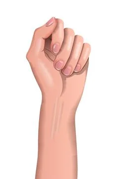 Vector wrist in gradient style Stock Illustration