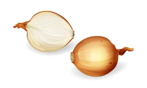 Vector yellow onion bulb with sliced half set Stock Illustration