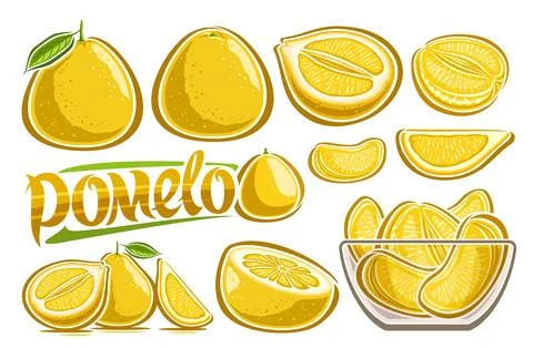 Vector Yellow Pomelo Set Stock Illustration