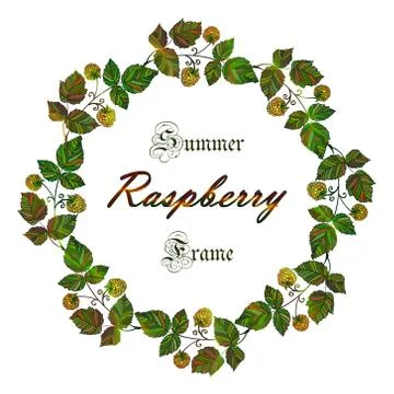 Vector yellow raspberry frame イラスト素材