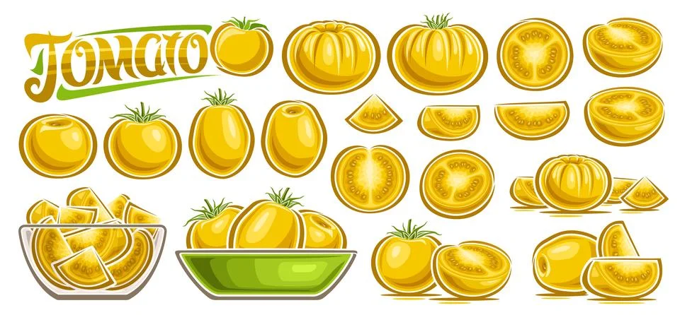 Vector Yellow Tomato Set Stock Illustration