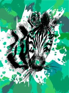 Vector zebra in eps 스톡 일러스트