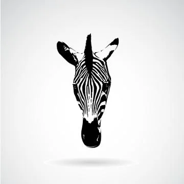 Vector of an zebra face on white background. Wild Animals. Stock Illustration