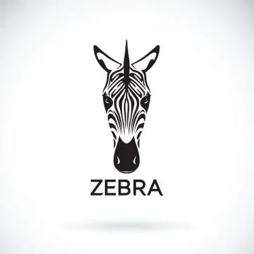 Vector of an zebra face on white background. Wild Animals. Illustrazione stock