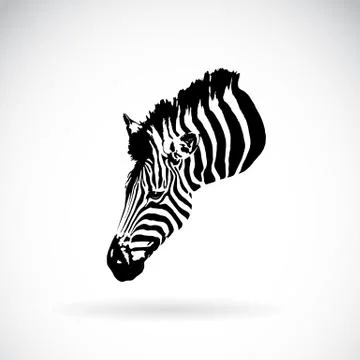 Vector of an zebra head on white background. Wild Animals. Illustrazione stock