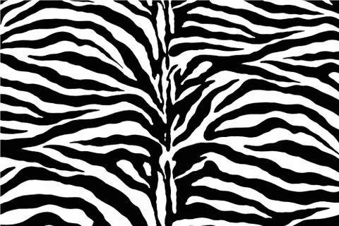Vector zebra pattern Stock Illustration