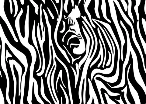 Vector zebra seamless pattern. Black and white beautiful texture. Perfectly f イラスト素材
