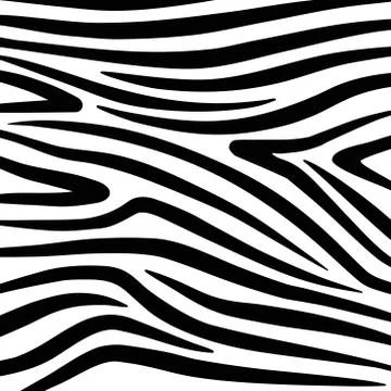 Vector Zebra Texture Black And White Stock Illustration
