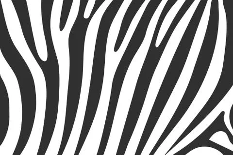 Vector zebra wavy concept abstract flat background Stock Illustration
