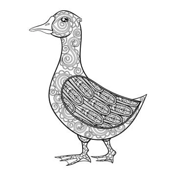 Vector zentangle magic goose, black print for adult anti stress coloring page Illustration