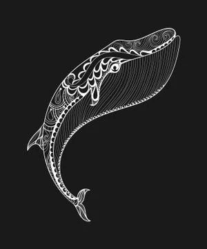Vector zentangle white whale print for adult coloring page. Hand 스톡 일러스트