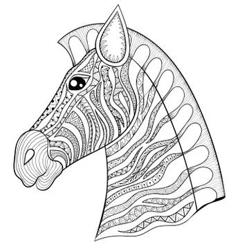 Vector zentangle Zebra Head illustration, Horse print for adult Stock Illustration