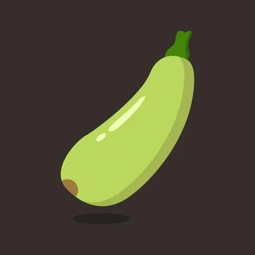 Vector zucchini on the background. Stock Illustration