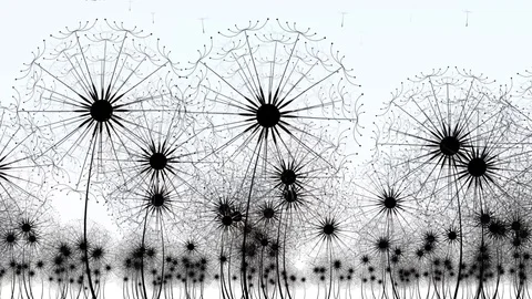 Vector_dandelion Stock Footage 79266826
