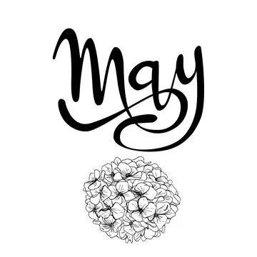 Vectorized handwritten lettering sign "may". Graphic resource on white back.. Stock Illustration