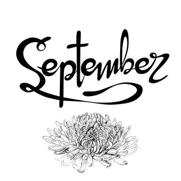 Vectorized handwritten lettering sign "September". Graphic resource on whit.. Stock Illustration