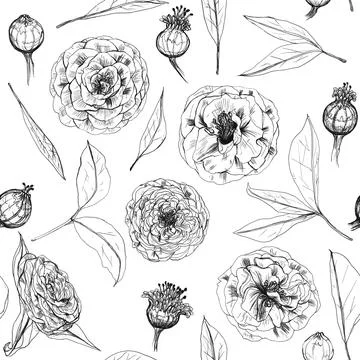 Vectorized pattern of flowers, camellias on a white background Illustrazione stock