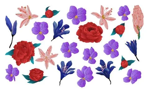 Vectorized set of assorted flowers Stock Illustration