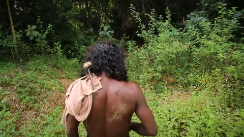 Vedda man walking through forest Gal Oya, Sri Lanka Stock Footage 104122608