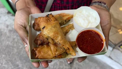 Veg Spring roll served with mayonnaise and red chilly sauce in India Stock Footage 310867502