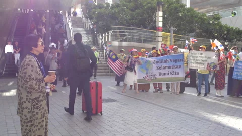 Vegan activists protesting for World Vegan, World Peace, 4k Stock Footage 269680444