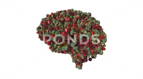 Vegan and vegetarian lifestyle brain Stock Illustration